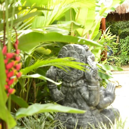 فندق Moksha Surf Yoga أوباتوبا المظهر الخارجي الصورة